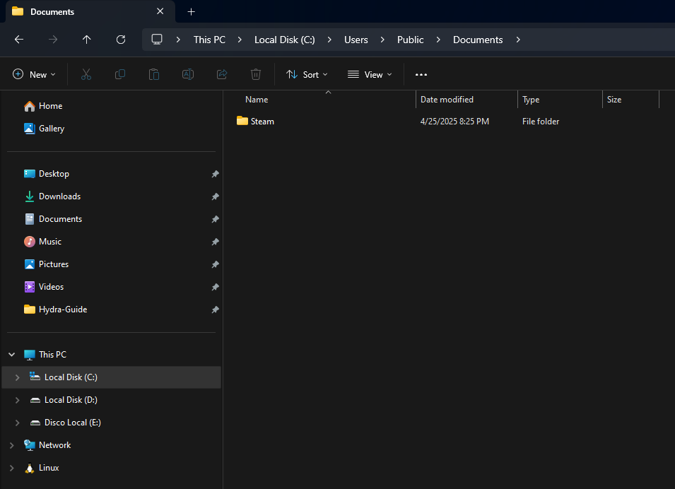 Folder Steam